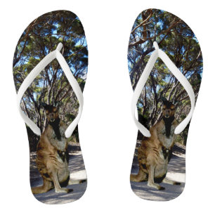 Chanclas Wallaby australiano en la carretera, Flip Flops