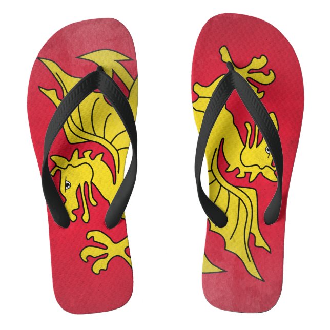 Chanclas Wessex (Plantilla)