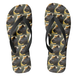 Chanclas Wombat, joven australiano, flops volteados