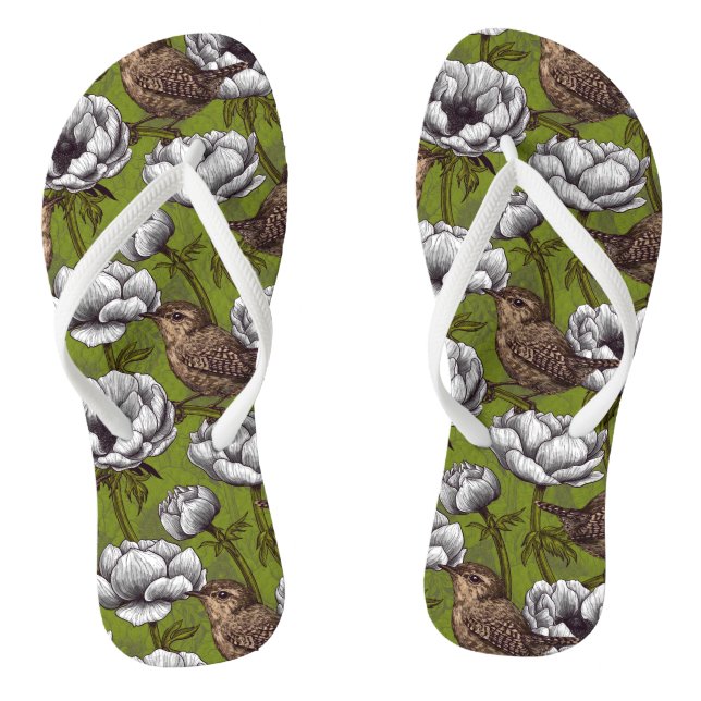 Chanclas Wrens en el jardín de anémona blanca (Plantilla)