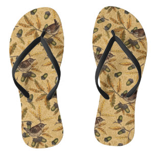 Chanclas Wrens y bellotas sobre miel