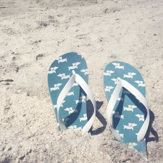 Chanclas Zapatos De Flip Flop De Perro Azul verde azulado