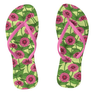 Chanclas Zinnias rosas sobre verde claro