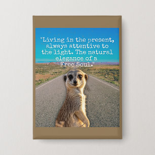 Chapa Adventurous Meerkat Living