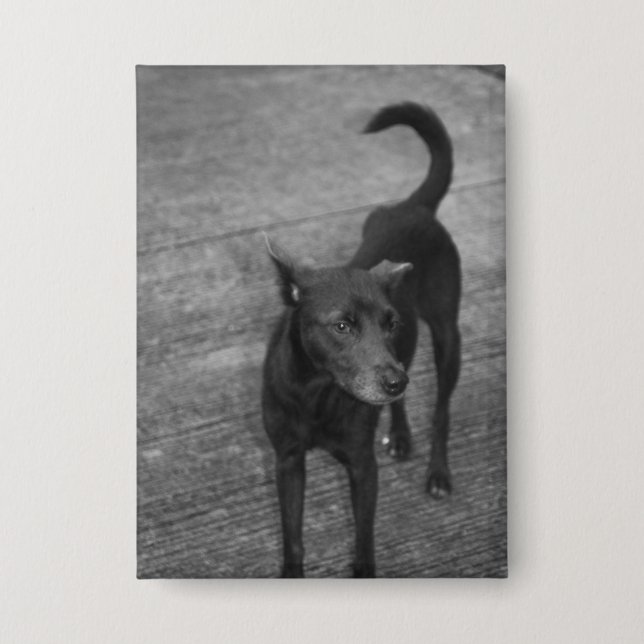 Chapa B&W - Aspin (Anverso)