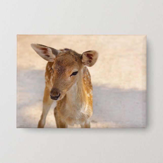 Chapa Baby Deer (Anverso)