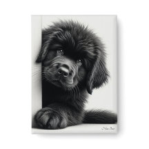 Cachorro curioso de Terranova negro asomándose