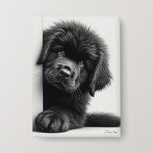 Chapa Cachorro curioso de Terranova negro asomándose