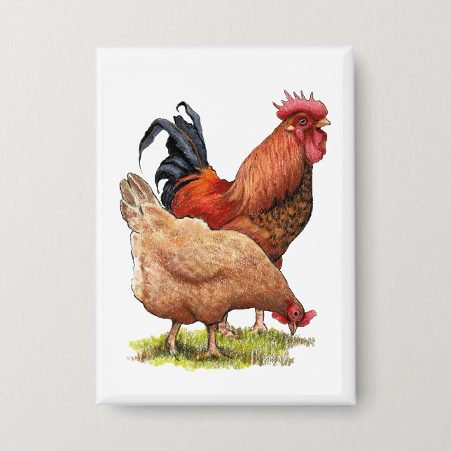 Chapa Chicken And Rooster Art, Poultry, Farm Animals (Anverso)