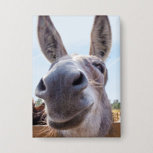 Chapa Cómico burro sonriente gris