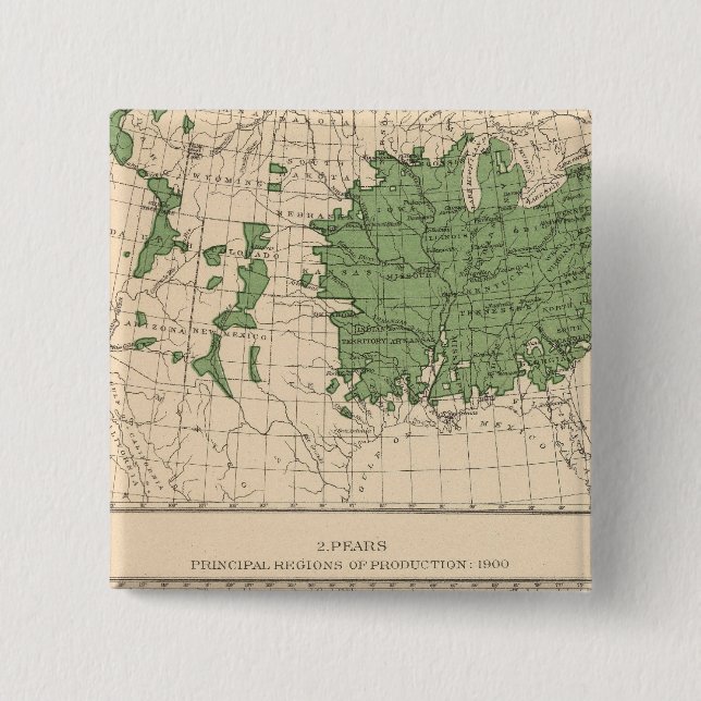 Chapa Cuadrada 174 Manzanas, peras, principales regiones (Anverso)