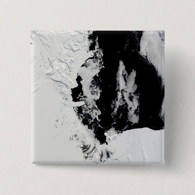 Chapa Cuadrada 18 de enero de 2010 - Mar de Ross, Antártida (Anverso)