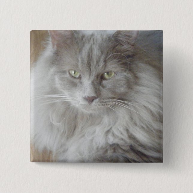 CHAPA CUADRADA 2009_09190028 (Anverso)