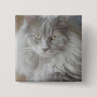 CHAPA CUADRADA 2009_09190028