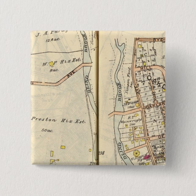 Chapa Cuadrada 238239 Centeno (Anverso)