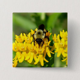 Chapa Cuadrada Abeja festejando en flores silvestres de hierba de