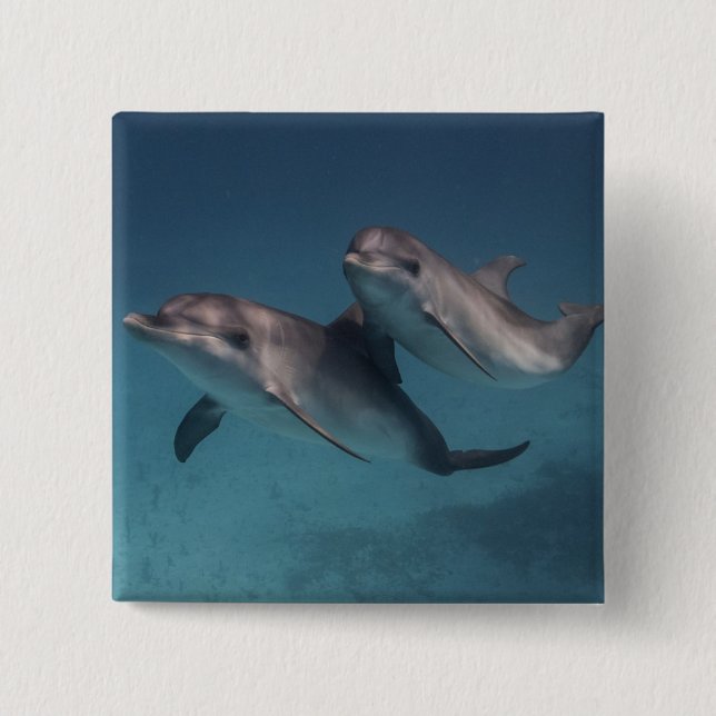 Chapa Cuadrada Actitud juguetona (Anverso)