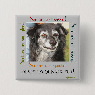 Chapa Cuadrada Adoptar un Mascota superior