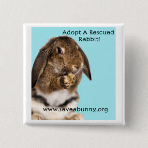 Chapa Cuadrada ¡Adopte un conejo rescatado!