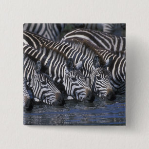 Chapa Cuadrada África, Kenia, Masai Mara Game Reserve, Llanuras