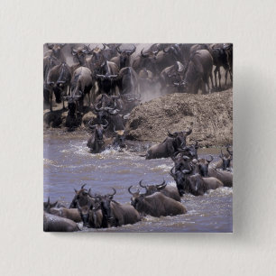 Chapa Cuadrada África, Kenia, Parque Nacional Masai Mara.