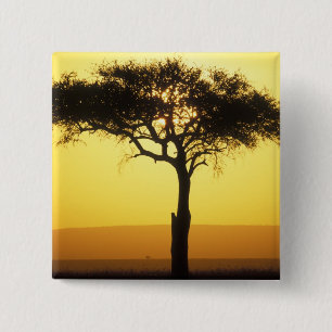 Chapa Cuadrada África, Kenia, Reserva de caza Masai Mara, Amanece