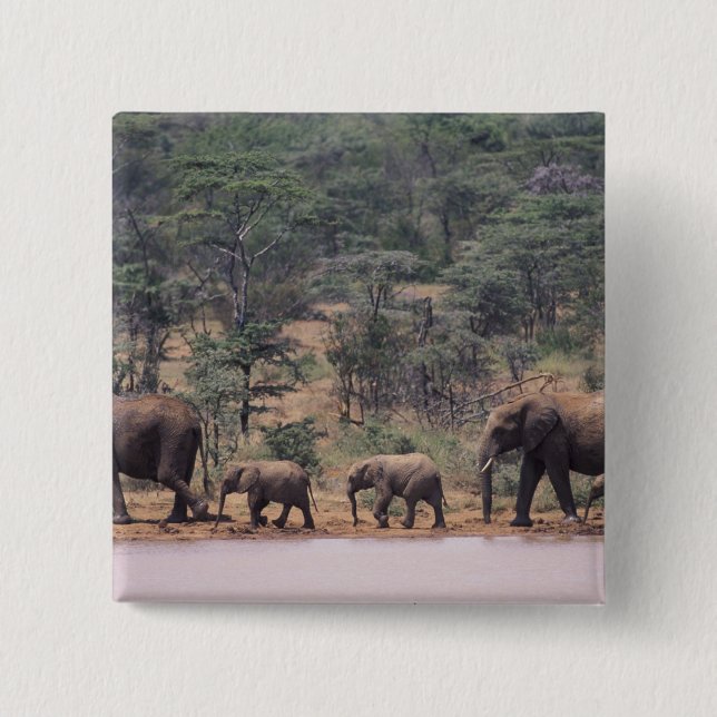 Chapa Cuadrada África, Kenya, Nanyuki, Mpala. Africano (Anverso)