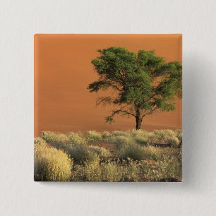 Chapa Cuadrada África, Namibia, Parque Nacional Namib, Sossusvlei