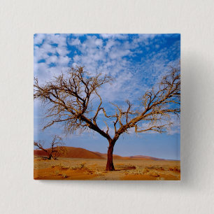Chapa Cuadrada África, Namibia, Parque Nacional Naukluft,