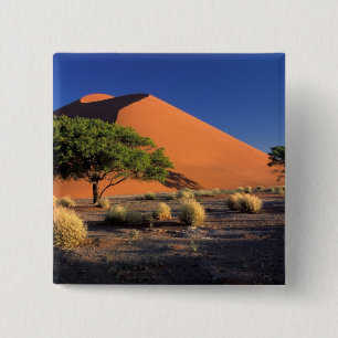 Chapa Cuadrada África, Namibia, Parque Namib-Naukluff, Sossosvlei