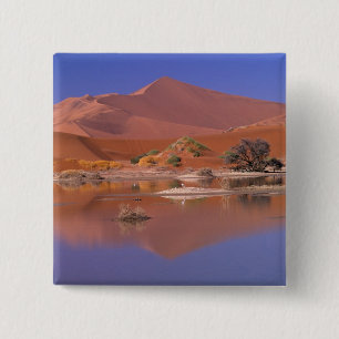 Chapa Cuadrada África, Namibia. Parque Namib-Naukluft.2