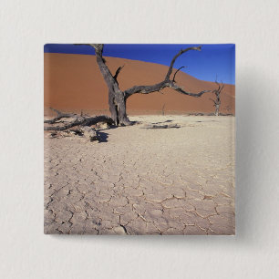 Chapa Cuadrada África, Namibia, Región de Sossusvlei. Dunas de ar
