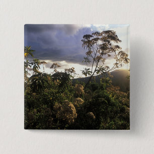 Chapa Cuadrada África, Tanzania, Área de conservación de Ngorongo