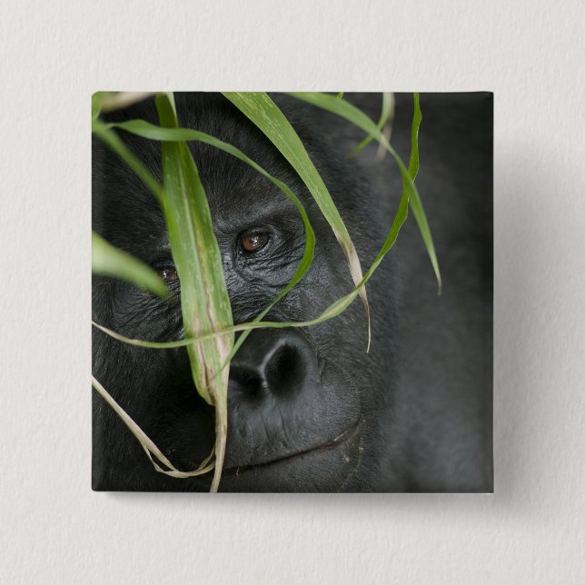 Chapa Cuadrada África, Uganda, Bwindi (Anverso)