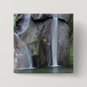 Chapa Cuadrada África, Uganda, selva impenetrable de Bwindi,