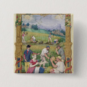 Chapa Cuadrada Agosto: La cosecha