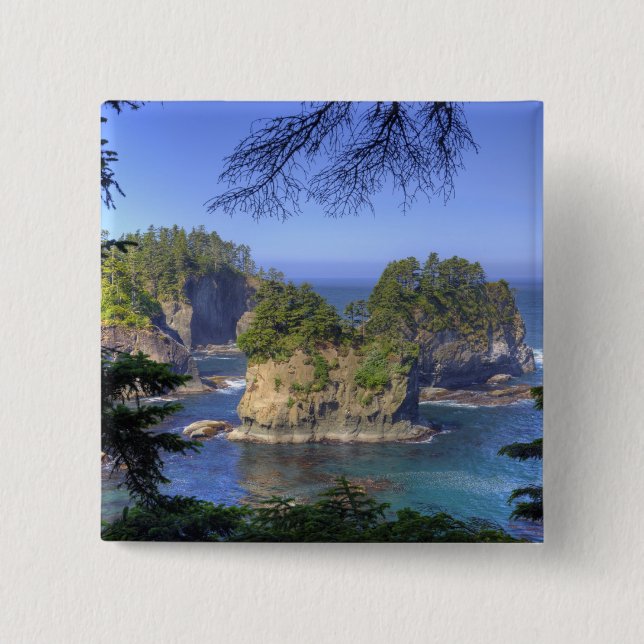 Chapa Cuadrada Aguas marinas, tierras tribales de la nación Makah (Anverso)