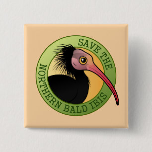 Chapa Cuadrada Ahorre el Ibis calvo septentrional