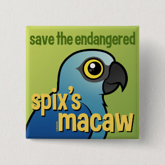 Chapa Cuadrada Ahorre el Macaw del Spix en peligro
