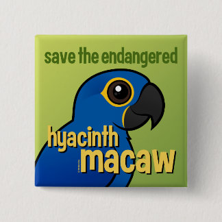 Chapa Cuadrada Ahorre el Macaw en peligro del jacinto