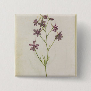 Chapa Cuadrada Ajacis del Delphinium, c.1568