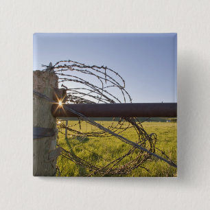 Chapa Cuadrada Alambre de púas rodado para arriba en fencerow