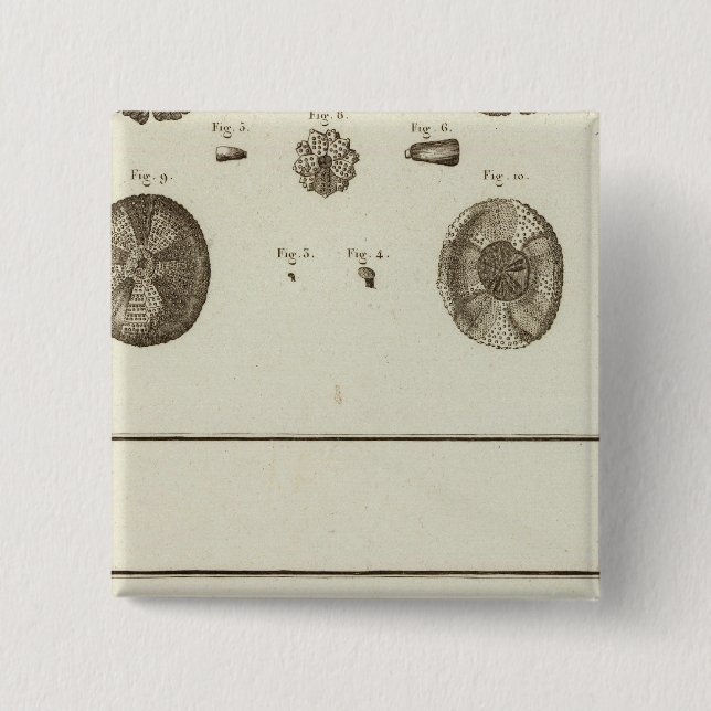 Chapa Cuadrada Alaska (Anverso)