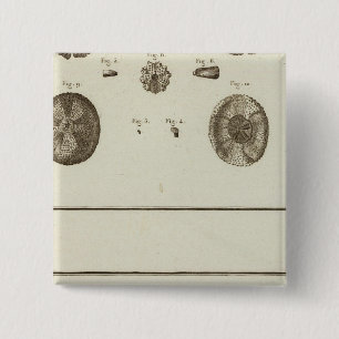 Chapa Cuadrada Alaska