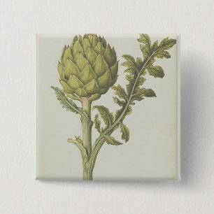 Chapa Cuadrada Alcachofa: Scolymus del Cynara, c.1568