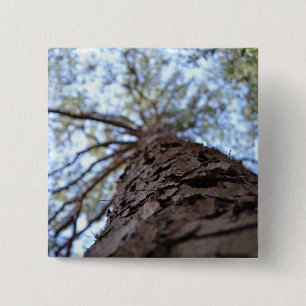 Chapa Cuadrada Alcance alto por Shirley Taylor