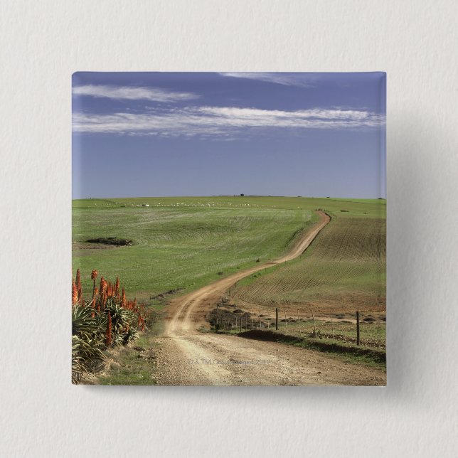 Chapa Cuadrada Áloe floreciente cerca de Caledon, Western Cape (Anverso)