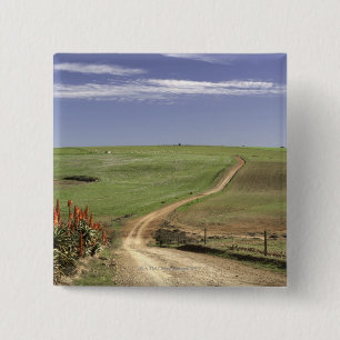 Chapa Cuadrada Áloe floreciente cerca de Caledon, Western Cape