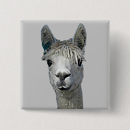 Chapa Cuadrada Alpaca