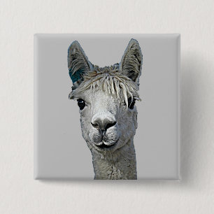 Chapa Cuadrada Alpaca